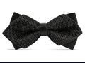 A black pre-tied bow tie with a fine white dotted pattern, displayed against a clean white background.