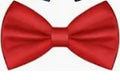 A classic red self-tie bow tie with a satin-like finish, shown against a plain white background.