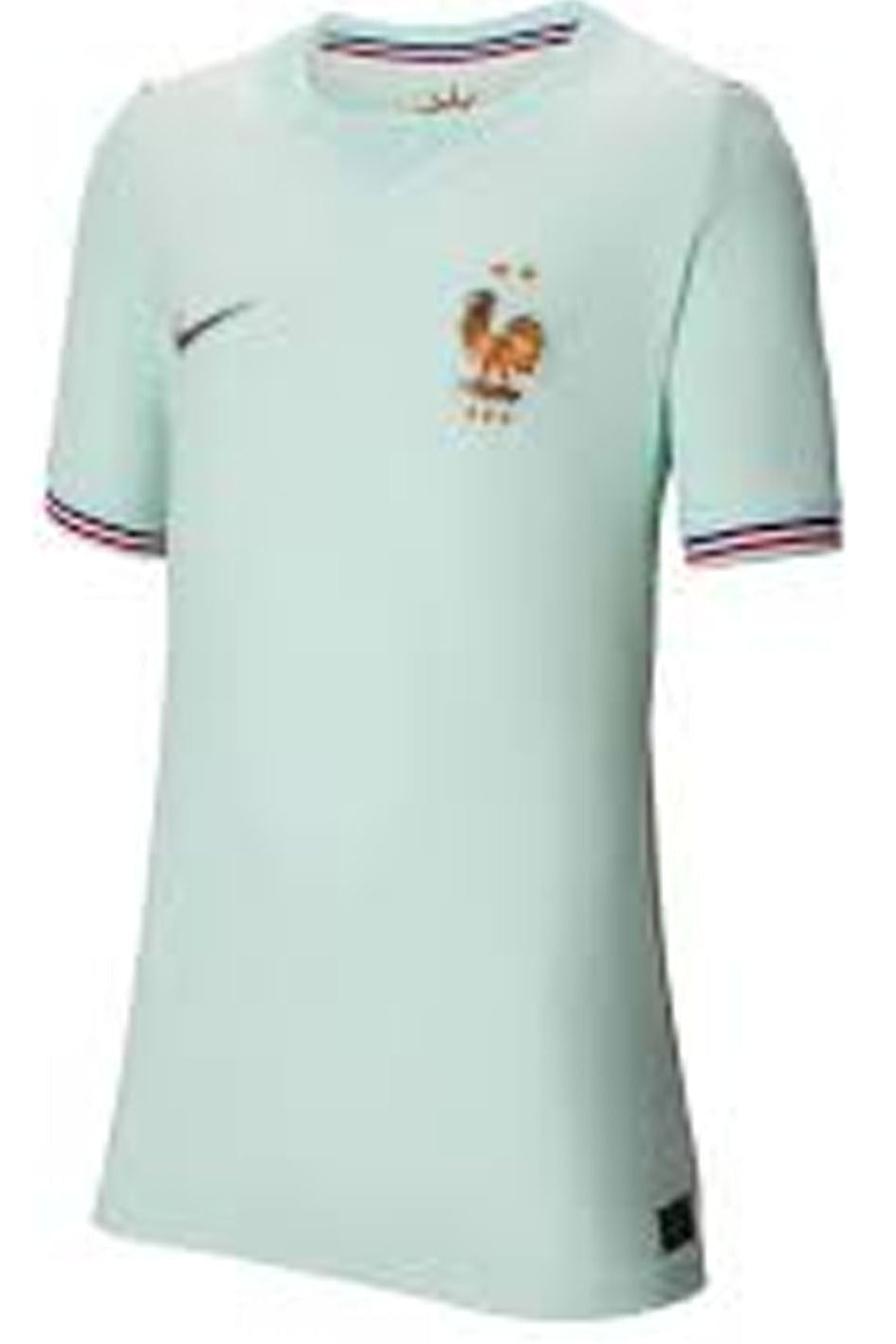 A light mint green Nike soccer jersey with the French Football Association crest on the chest, a black swoosh on the right chest, and red and blue striped trim on the collar and cuffs.