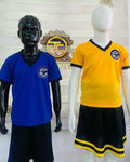 Two children's sports jerseys displayed on mannequins: a royal blue V-neck jersey with black shorts on a black mannequin, and a bright yellow V-neck jersey with black trim and a black skirt with yellow stripes on a white mannequin. A decorative wall plaque is behind them.