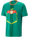 Green sports jersey with Puma logo and a red and yellow emblem on a white background