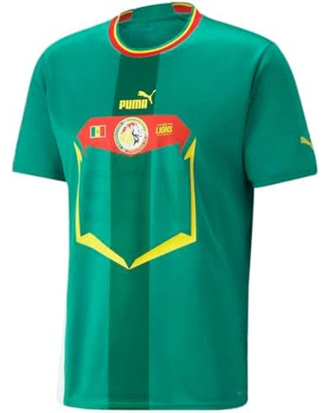 Green sports jersey with Puma logo and a red and yellow emblem on a white background