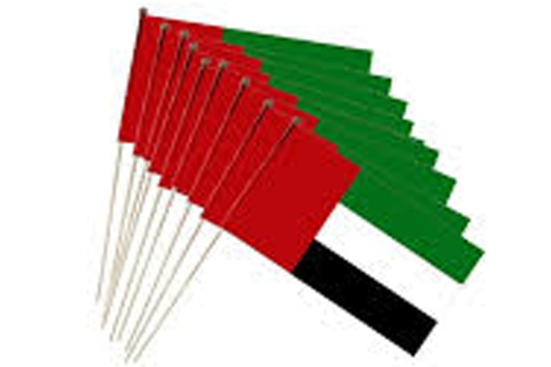 Set of small flags with red, green, and black sections on a white background