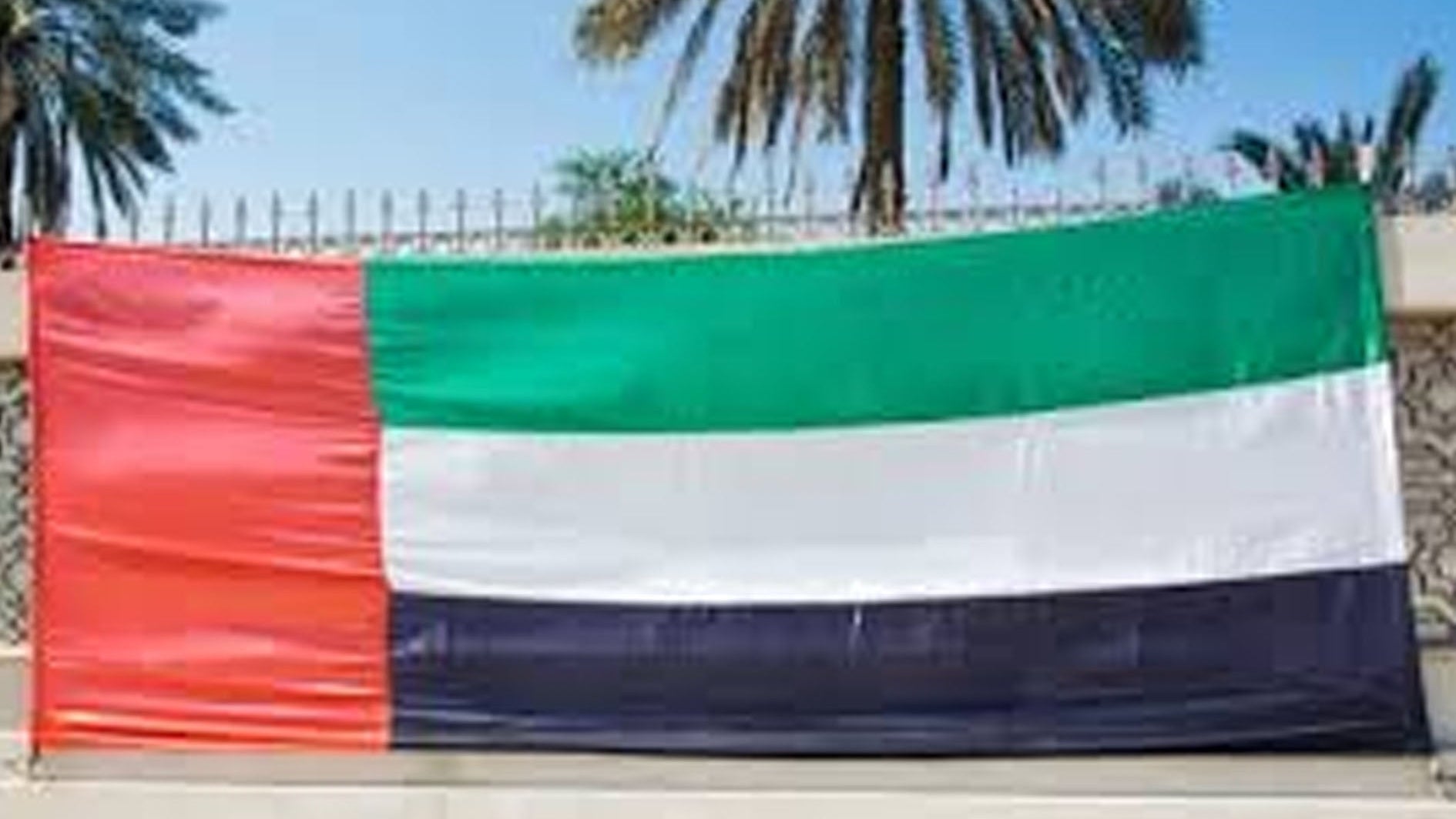 Flag of the United Arab Emirates with palm trees in the background